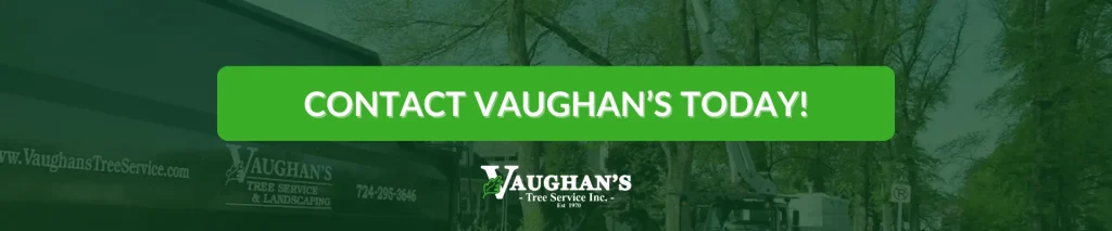 Contact Vaughan's Tree Service Today!