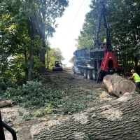 Land clearing with Vaughan_s Tree Service