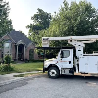 residential tree service on home page in the circle